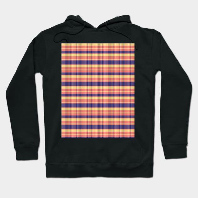 Sunset and Sunrise Aesthetic Calan 2 Hand Drawn Textured Plaid Pattern Hoodie by GenAumonier